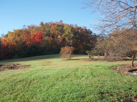 PA240978
