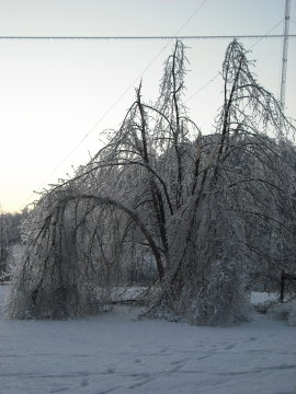 DSCF0547
