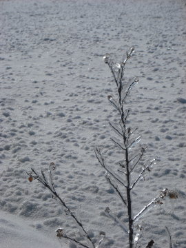 DSCF0583